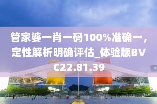 管家婆一肖一码100%准确一，定性解析明确评估_体验版BVC22.81.39