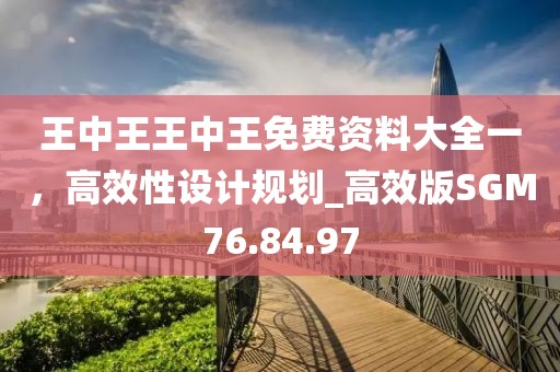 王中王王中王免费资料大全一，高效性设计规划_高效版SGM76.84.97