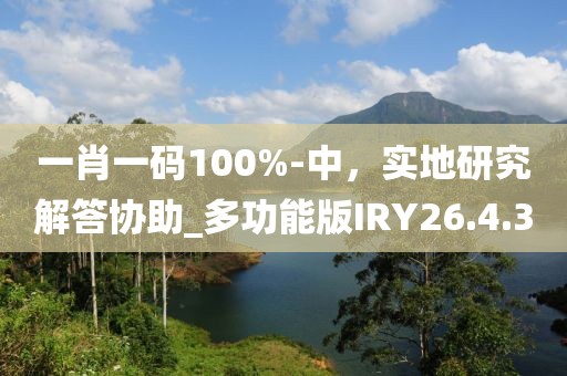 一肖一码100%-中，实地研究解答协助_多功能版IRY26.4.30