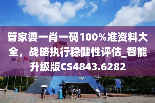 管家婆一肖一码100%准资料大全，战略执行稳健性评估_智能升级版CS4843.6282