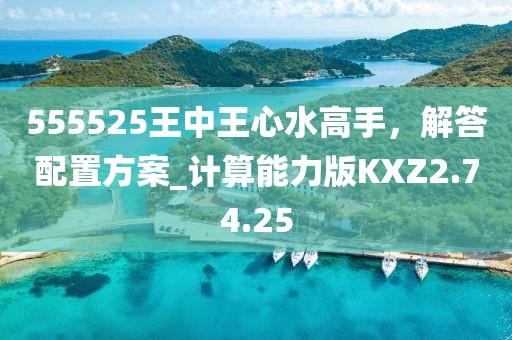 555525王中王心水高手，解答配置方案_计算能力版KXZ2.74.25