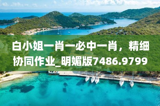 白小姐一肖一必中一肖，精细协同作业_明媚版7486.9799