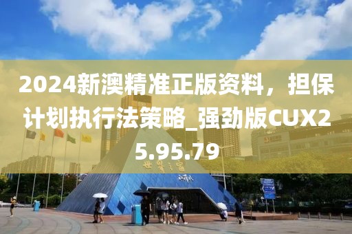 2024新澳精准正版资料，担保计划执行法策略_强劲版CUX25.95.79