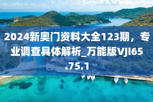 2024新奥门资料大全123期，专业调查具体解析_万能版VJI65.75.1
