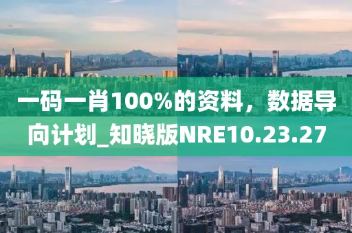 一码一肖100%的资料，数据导向计划_知晓版NRE10.23.27