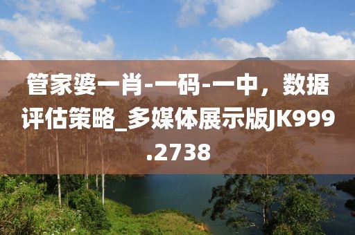管家婆一肖-一码-一中，数据评估策略_多媒体展示版JK999.2738