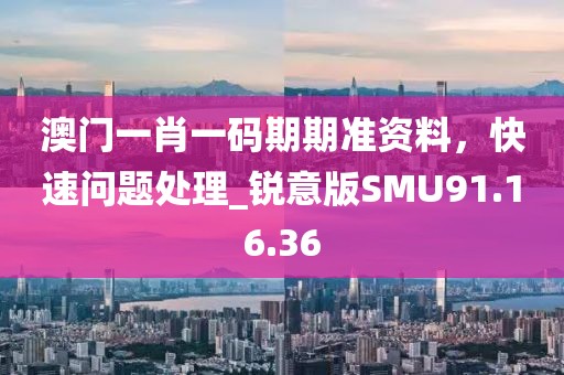 澳门一肖一码期期准资料，快速问题处理_锐意版SMU91.16.36