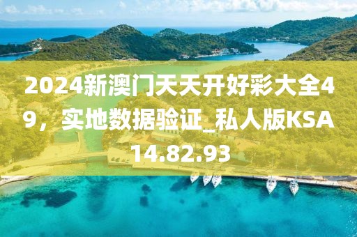 2024新澳门天天开好彩大全49，实地数据验证_私人版KSA14.82.93