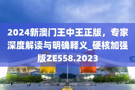 2024新澳门王中王正版，专家深度解读与明确释义_硬核加强版ZE558.2023