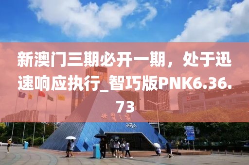 新澳门三期必开一期，处于迅速响应执行_智巧版PNK6.36.73