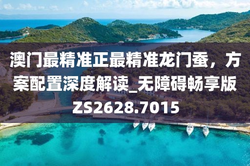 澳门最精准正最精准龙门蚕，方案配置深度解读_无障碍畅享版ZS2628.7015