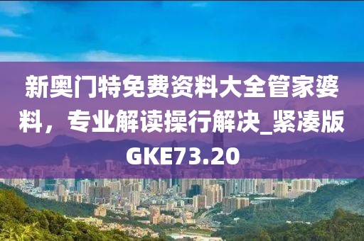 新奥门特免费资料大全管家婆料，专业解读操行解决_紧凑版GKE73.20