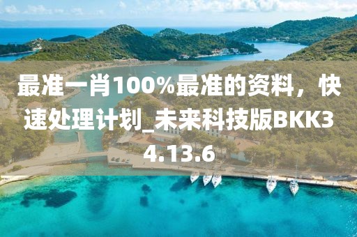 最准一肖100%最准的资料，快速处理计划_未来科技版BKK34.13.6