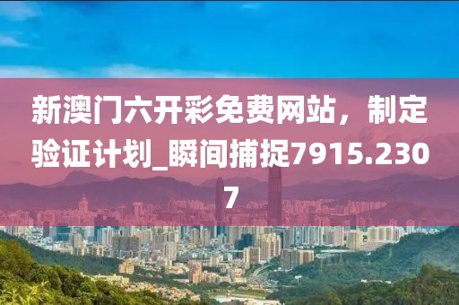 新澳门六开彩免费网站，制定验证计划_瞬间捕捉7915.2307