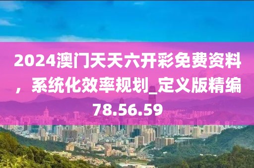 2024澳门天天六开彩免费资料，系统化效率规划_定义版精编78.56.59