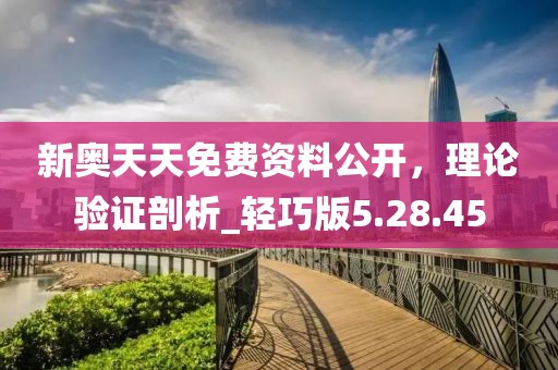 新奥天天免费资料公开，理论验证剖析_轻巧版5.28.45