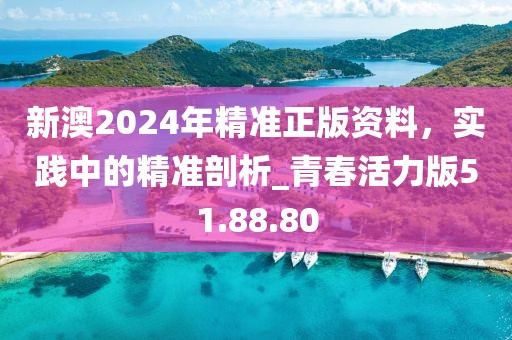新澳2024年精准正版资料，实践中的精准剖析_青春活力版51.88.80