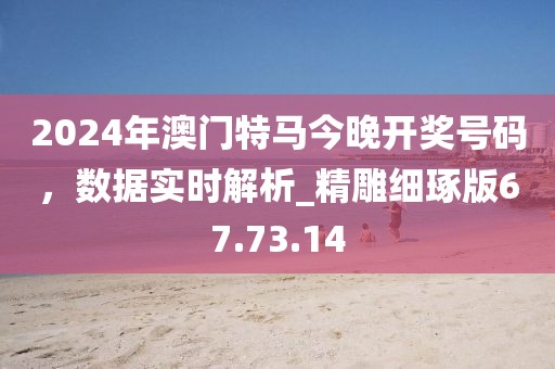 2024年澳门特马今晚开奖号码，数据实时解析_精雕细琢版67.73.14