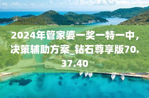 2024年管家婆一奖一特一中，决策辅助方案_钻石尊享版70.37.40