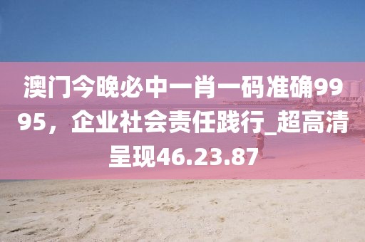 澳门今晚必中一肖一码准确9995，企业社会责任践行_超高清呈现46.23.87