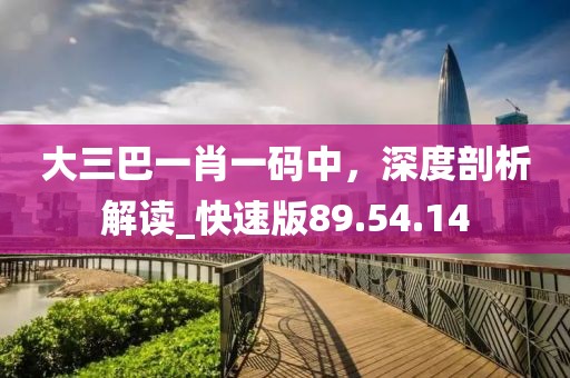 大三巴一肖一码中，深度剖析解读_快速版89.54.14
