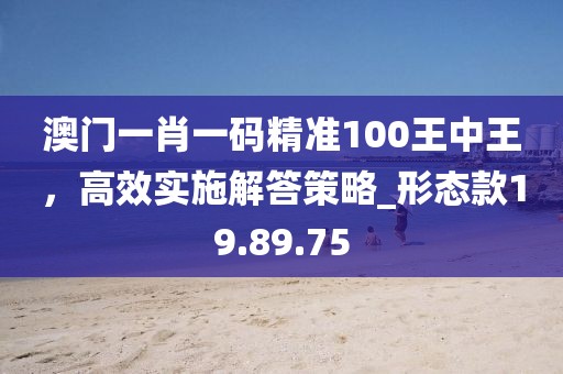 澳门一肖一码精准100王中王，高效实施解答策略_形态款19.89.75