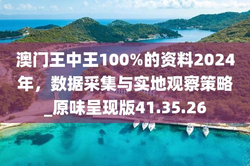 澳门王中王100%的资料2024年，数据采集与实地观察策略_原味呈现版41.35.26
