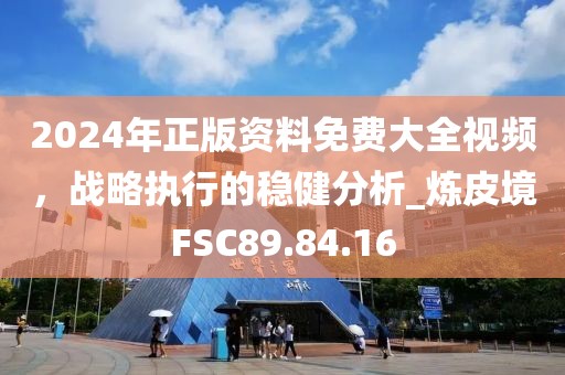 2024年正版资料免费大全视频，战略执行的稳健分析_炼皮境FSC89.84.16
