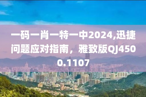 一码一肖一特一中2024,迅捷问题应对指南，雅致版QJ4500.1107
