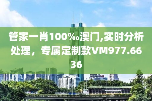 管家一肖100‰澳门,实时分析处理，专属定制款VM977.6636