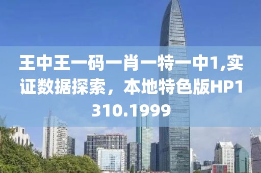 王中王一码一肖一特一中1,实证数据探索，本地特色版HP1310.1999