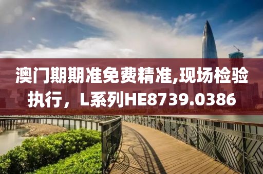 澳门期期准免费精准,现场检验执行，L系列HE8739.0386