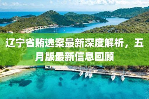 辽宁省贿选案最新深度解析，五月版最新信息回顾