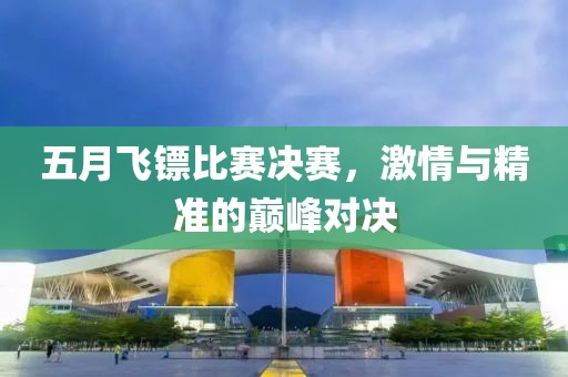 五月飞镖比赛决赛，激情与精准的巅峰对决