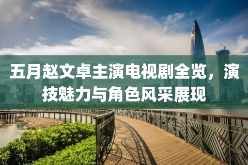 五月赵文卓主演电视剧全览，演技魅力与角色风采展现