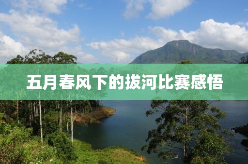 五月春风下的拔河比赛感悟