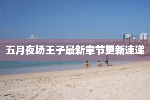 五月夜场王子最新章节更新速递
