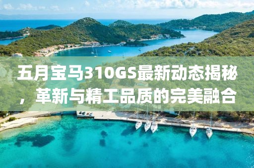 五月宝马310GS最新动态揭秘，革新与精工品质的完美融合