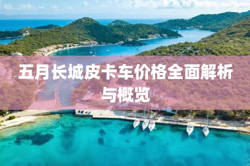 五月长城皮卡车价格全面解析与概览