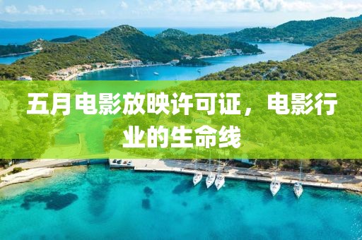 五月电影放映许可证，电影行业的生命线