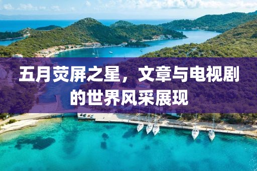 五月荧屏之星，文章与电视剧的世界风采展现
