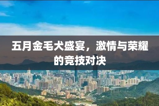 五月金毛犬盛宴，激情与荣耀的竞技对决