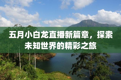 五月小白龙直播新篇章，探索未知世界的精彩之旅