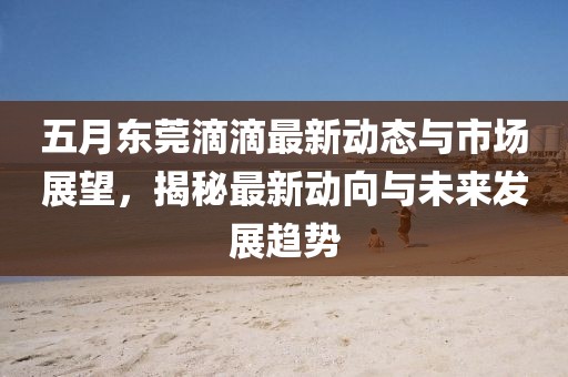 五月东莞滴滴最新动态与市场展望，揭秘最新动向与未来发展趋势