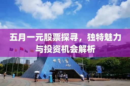 五月一元股票探寻，独特魅力与投资机会解析