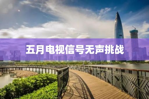五月电视信号无声挑战