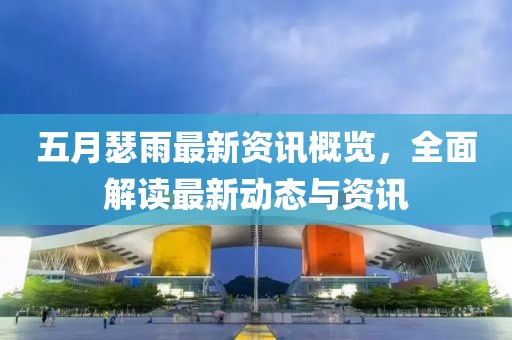 五月瑟雨最新资讯概览，全面解读最新动态与资讯