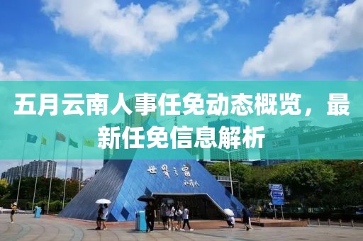 五月云南人事任免动态概览，最新任免信息解析
