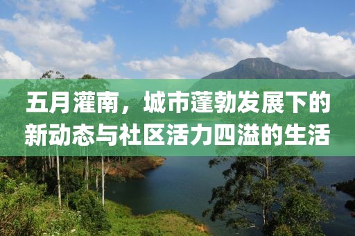 五月灌南，城市蓬勃发展下的新动态与社区活力四溢的生活