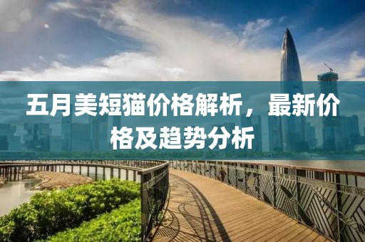 五月美短猫价格解析，最新价格及趋势分析